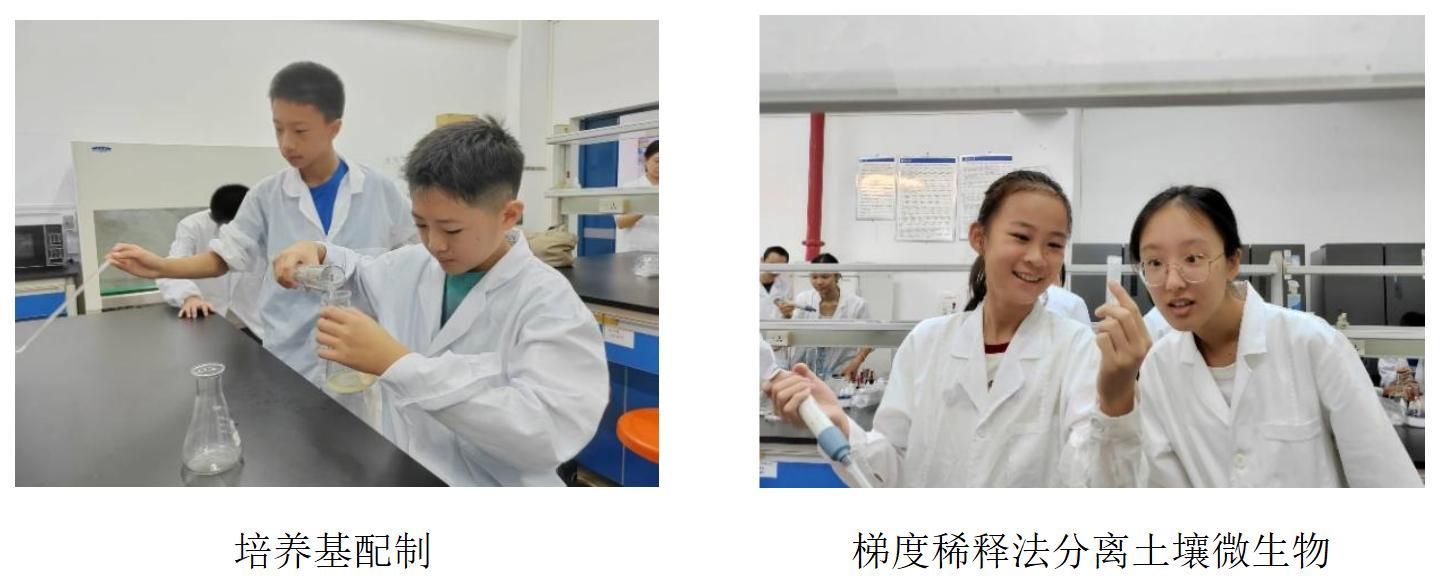 ylzz总站线路检测中心