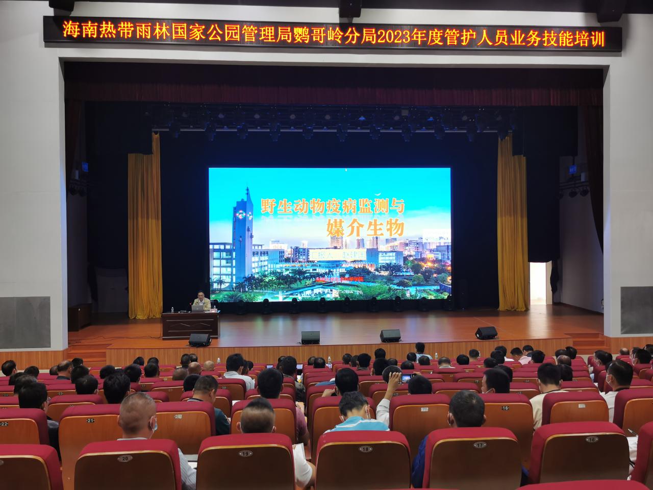 ylzz总站线路检测中心